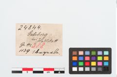 Etiketten zu Bronzewirtel (NHMW-PRAE-024844)
